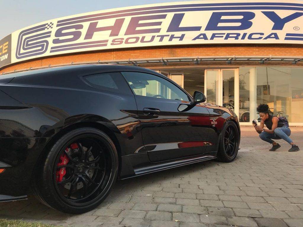 Shelby South Africa